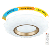 Firefly Functional Decorative LED Ceiling Lamp with remote control (Crystal)